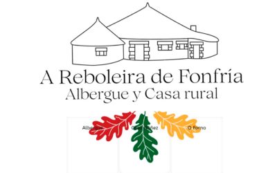 Reboleira Fonfría, Diseño de página web