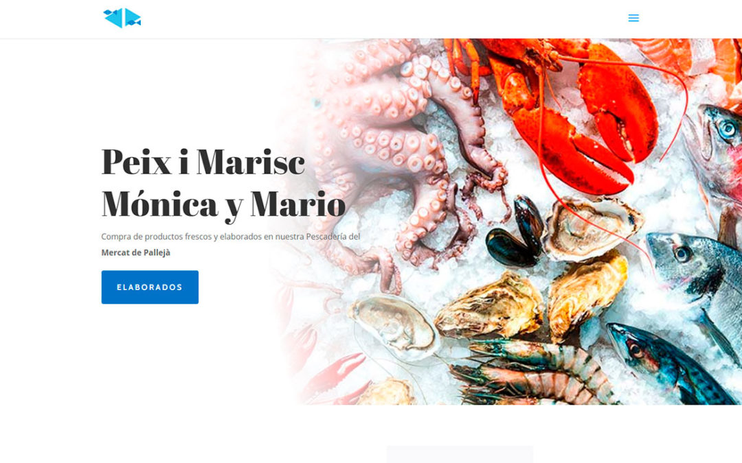 Peixos Mónica i Mario, Diseño web