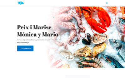 Peixos Mónica i Mario, Diseño web